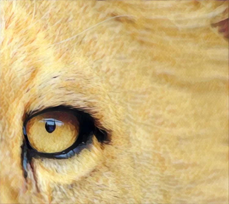 IR 2026: vale declarar de última hora para deixar a restituição rendendo?