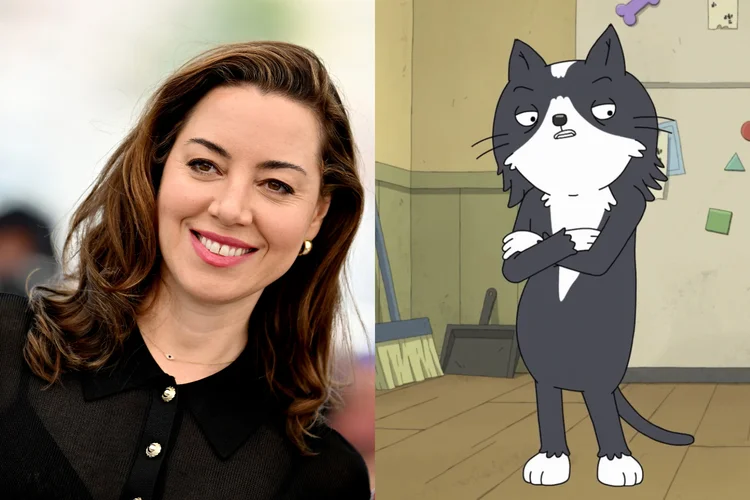 ‘Kevin’: gato 'termina' com os donos nesta nova série de comédia do Prime Video