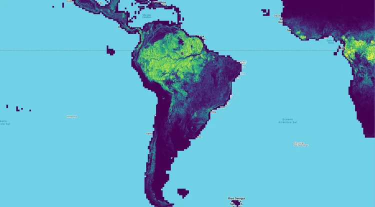 Lançamento da Meta usa IA para monitorar saúde de árvores e florestas; veja imagens