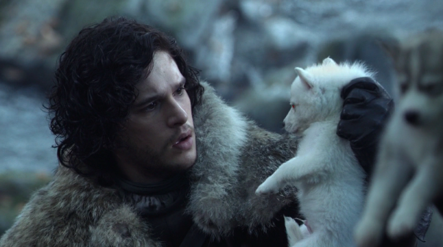 Lobo de 'Game of Thrones' volta à vida após 12 mil anos — e pode se reproduzir