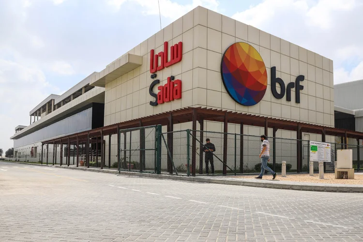 Marfrig sobe 3% com criação da Sadia Halal e descola do Ibovespa