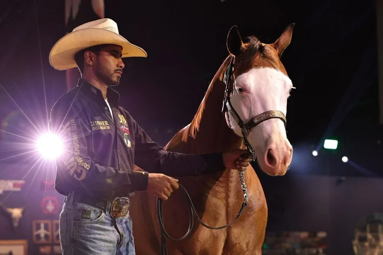 Mercado de cavalos de elite cresce em Goiás e fatura milhões no Brasil