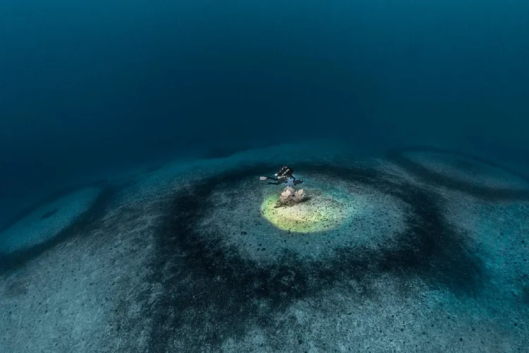 Mergulhadores descem ao Mediterrâneo e encontram 1.400 círculos gigantes desenhados na areia