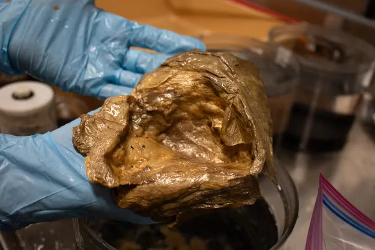 Mistério da ‘bola dourada’ no fundo do mar é desvendado; veja vídeo