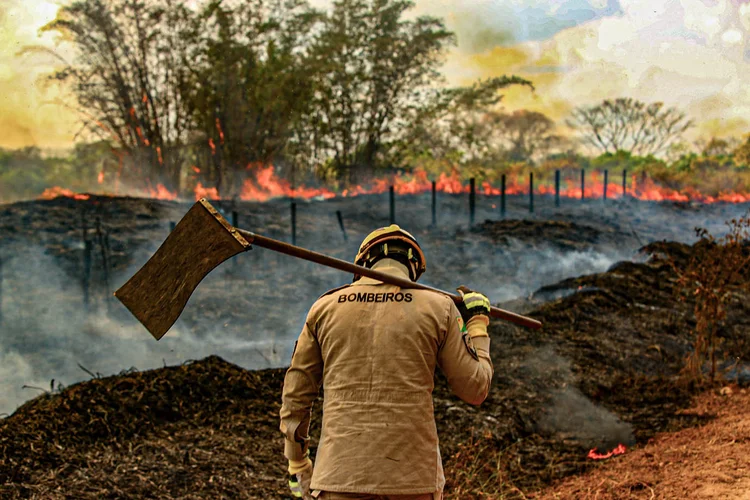 Mundo investe 33 vezes mais destruindo a natureza do que preservando, revela relatório