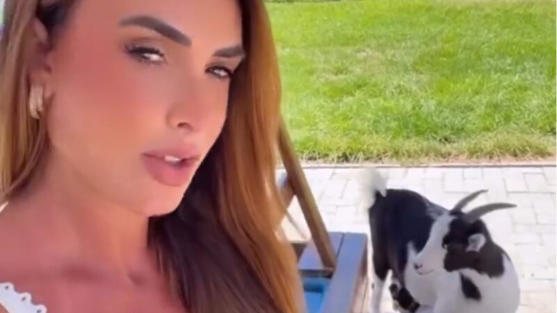 Nicole Bahls descobre que cabrito ‘Leo Dias’ é fêmea e mãe