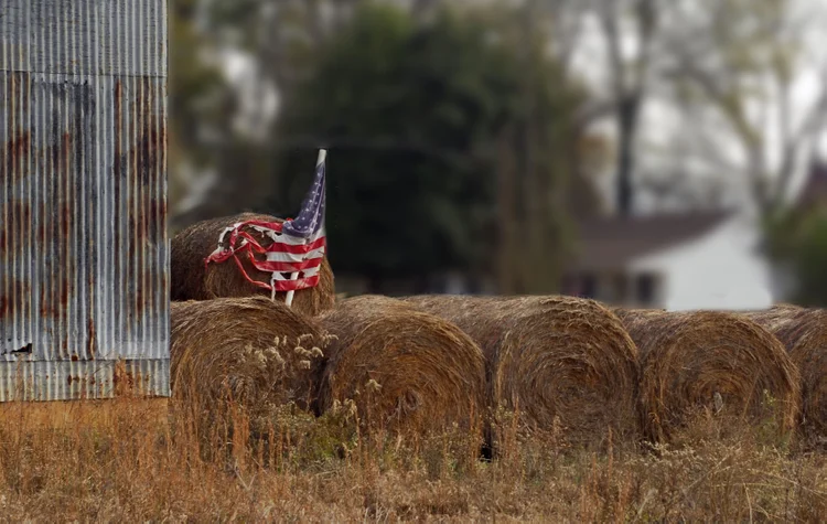 No retorno de Trump, pedidos de falência no agro dos EUA crescem 46% em 2025