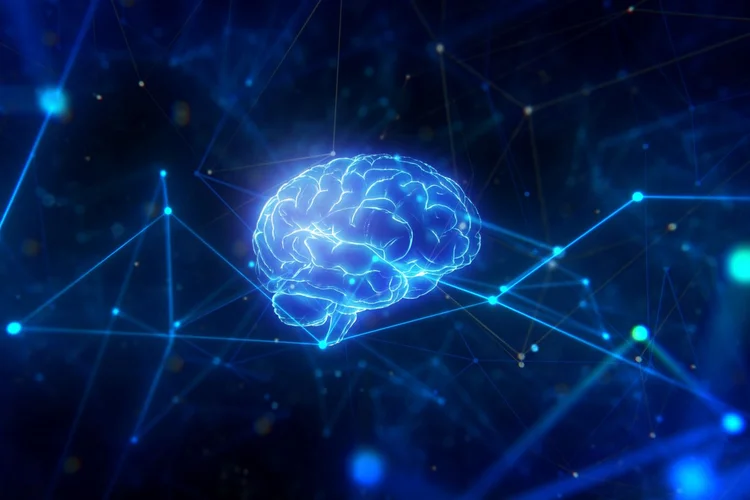 Novas descobertas desafiam 'teoria do prazer' no cérebro