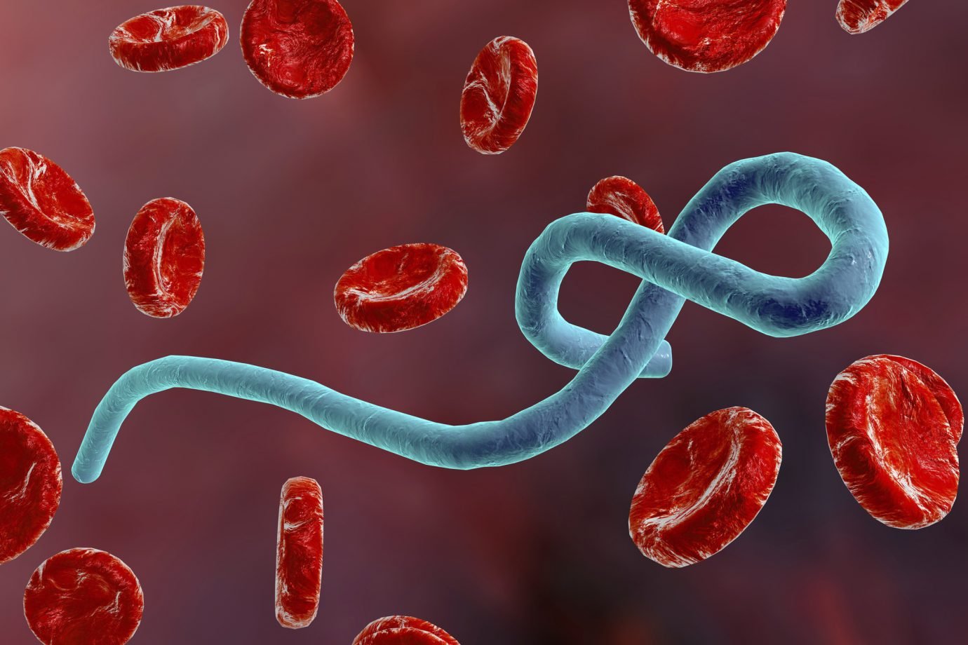 O que é o Ebola e por que autoridades monitoram viajantes vindos da África