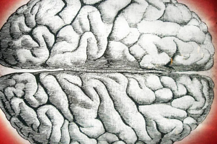 O que são redes neurais, a tecnologia que está fazendo máquinas “pensarem” como humanos