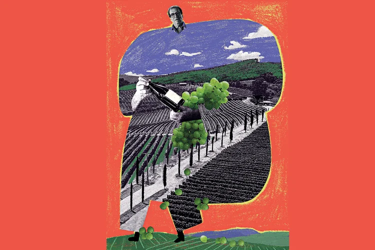 O responsável por transformar o Sudeste no Eldorado do vinho