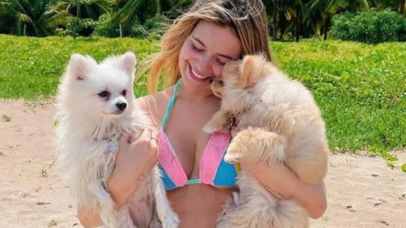 O segredo da mansão de Viih Tube para pets não destruírem tudo