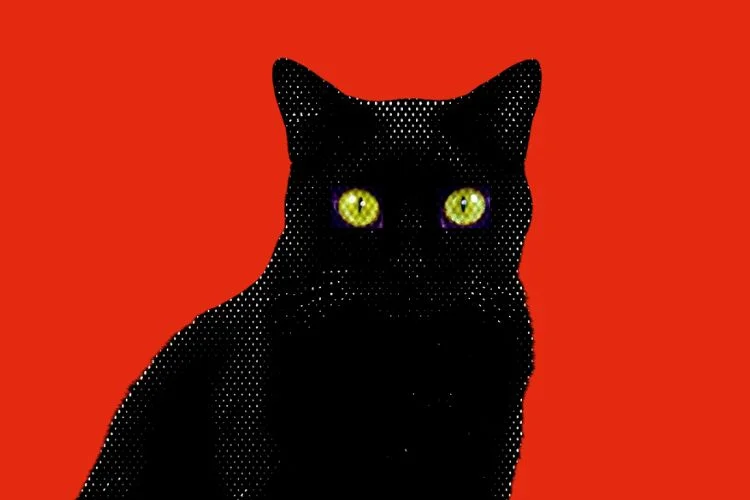 O 'superpoder' noturno escondido nos gatos