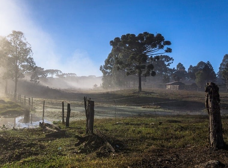 Onda de frio continua forte no Sul; veja a previsão completa do tempo para esta terça