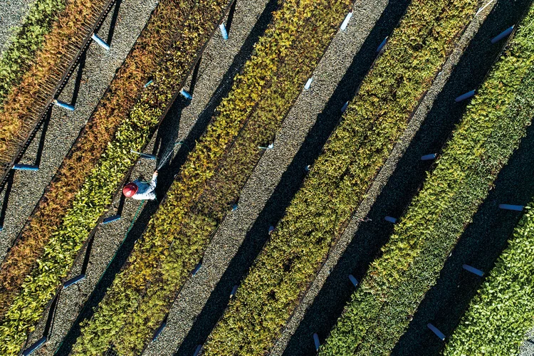 Onde fica o Brasil no ranking do PIB mundial em 2025