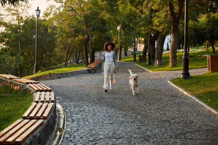 Os 20 minutos por dia na natureza que podem fazer a diferença no seu corpo, segundo a ciência