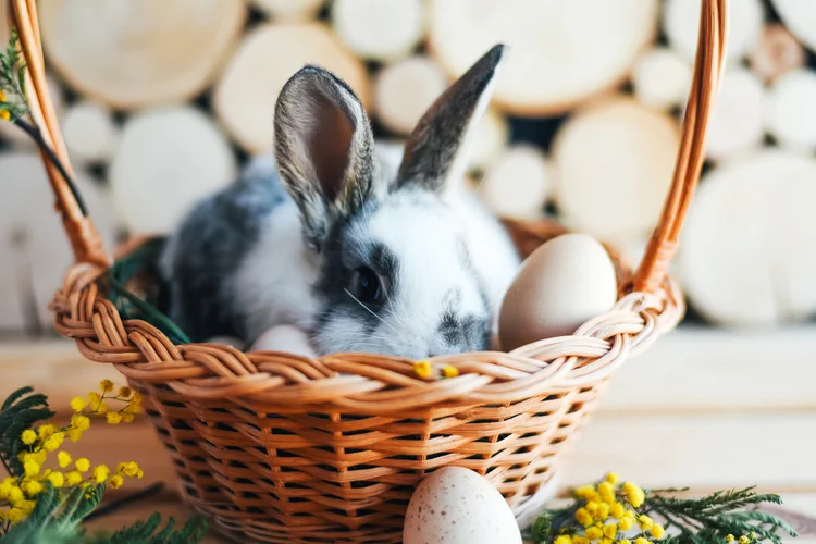 Páscoa 2026: quando é e por que a data muda todo ano