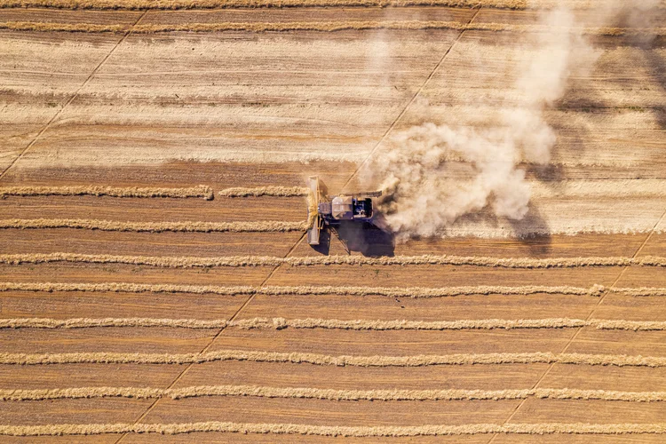 Por que a Colombo, de máquinas agrícolas, aposta na pimenta para crescer no agro