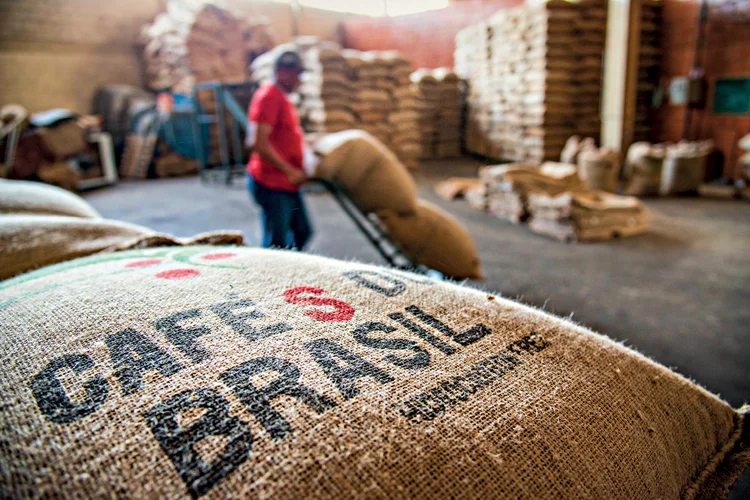 Por que alguns alimentos brasileiros são barrados em outros países?