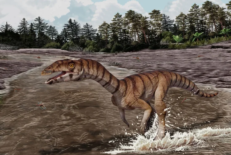Primo dos crocodilos era 'banguela' e viveu há 200 milhões de anos