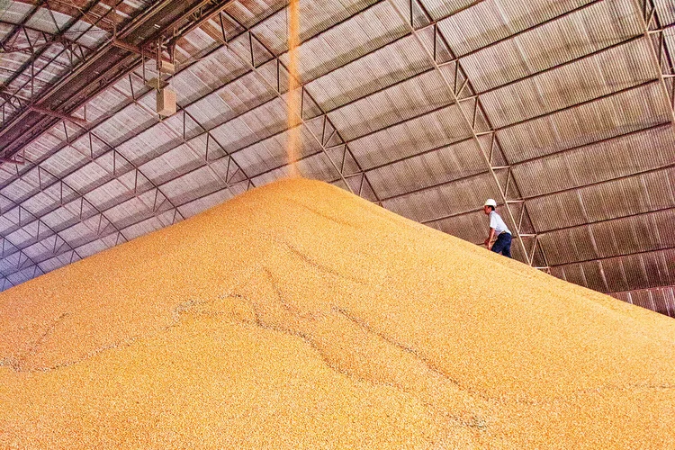 Processamento de soja no Brasil pode alcançar maior nível da história em 2026