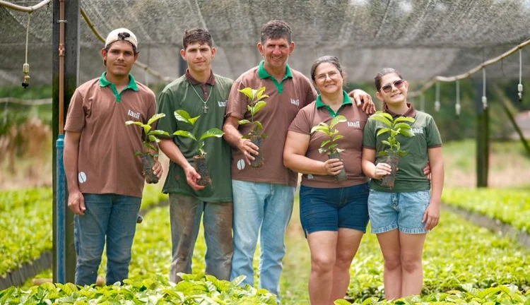 Produção de café clonado avança no Acre e se torna alternativa para uso de áreas desmatadas