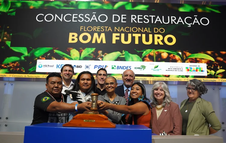 Re.green vence primeiro leilão federal de restauração florestal com créditos de carbono