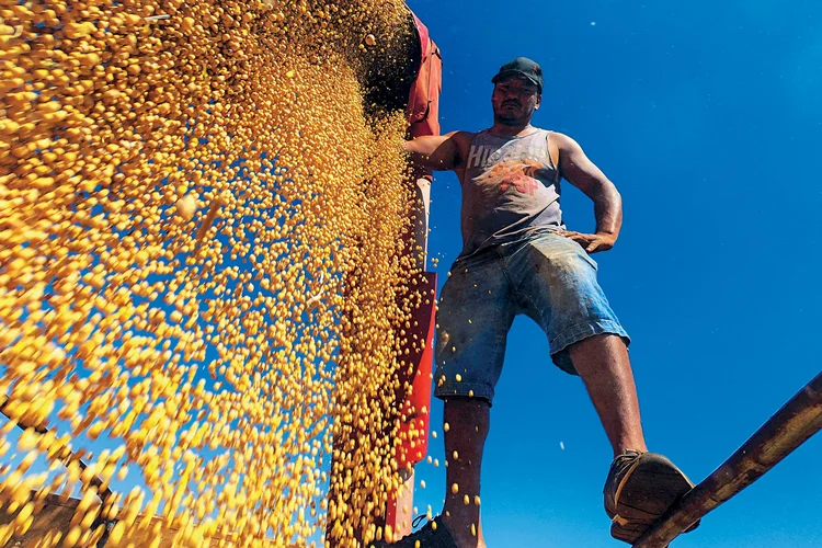 Safra recorde, lucro apertado: o dilema da soja no Brasil