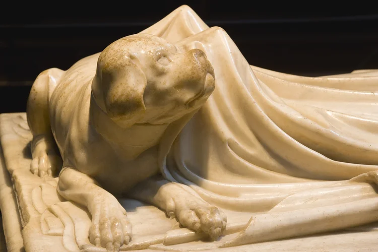 São Paulo: nova lei autoriza enterro de cães e gatos com pessoas