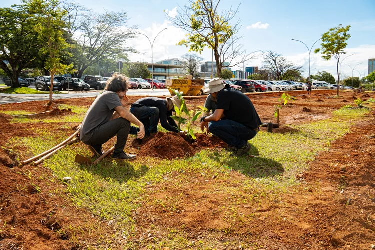 Sesi Lab inaugura projeto de agroecologia urbana com apoio de Bayer e TikTok