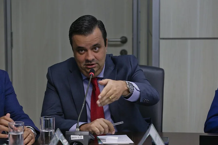 Setor de carne brasileiro busca investimento da Índia e abertura da Coreia do Sul