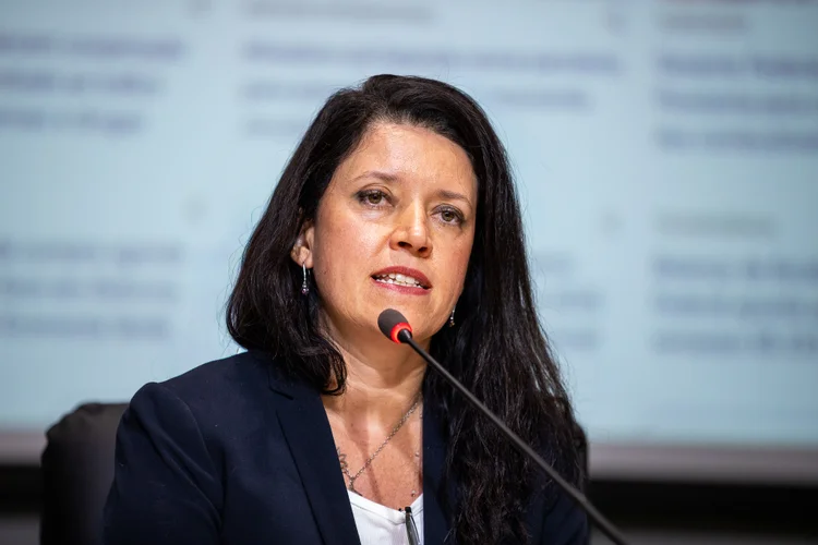 Setor privado leva recomendações ao governo para o mercado de carbono