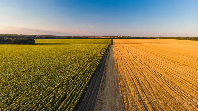 SuperAgro 2026 chega a São Paulo para debater o futuro do agronegócio