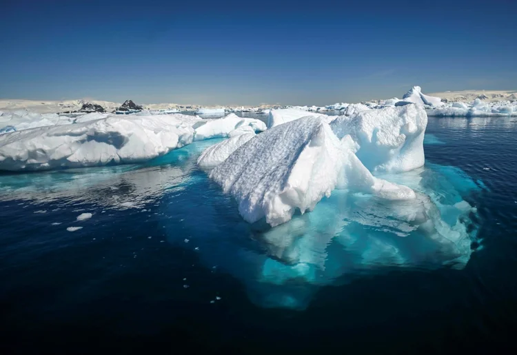 Supermicróbio? Cientistas descobrem organismo que resiste a -20°C na Antártida