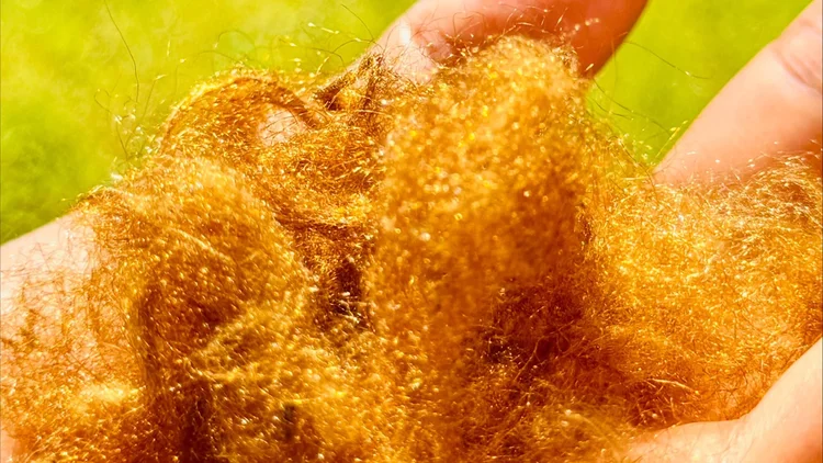 Tecido dourado usado por imperadores é recriado após séculos