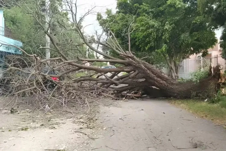 Temporal no RS: Uruguaiana registra ventos de 85 km/h e 6 mil imóveis sem luz; veja vídeo