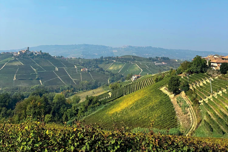 Tradição com inovação: a evolução do Piemonte