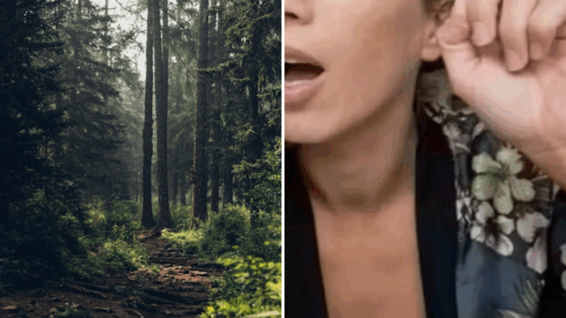 Tragédia! Famosa atriz é encontrada morta em floresta após se encontrar com amiga