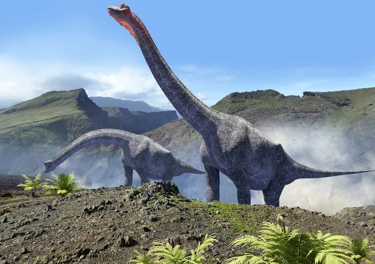'Último titã': dinossauro do tamanho de 9 elefantes é encontrado na Tailândia