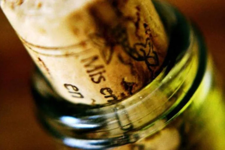 Um gole do século XIX: arqueólogos provam bebida enterrada há 150 anos