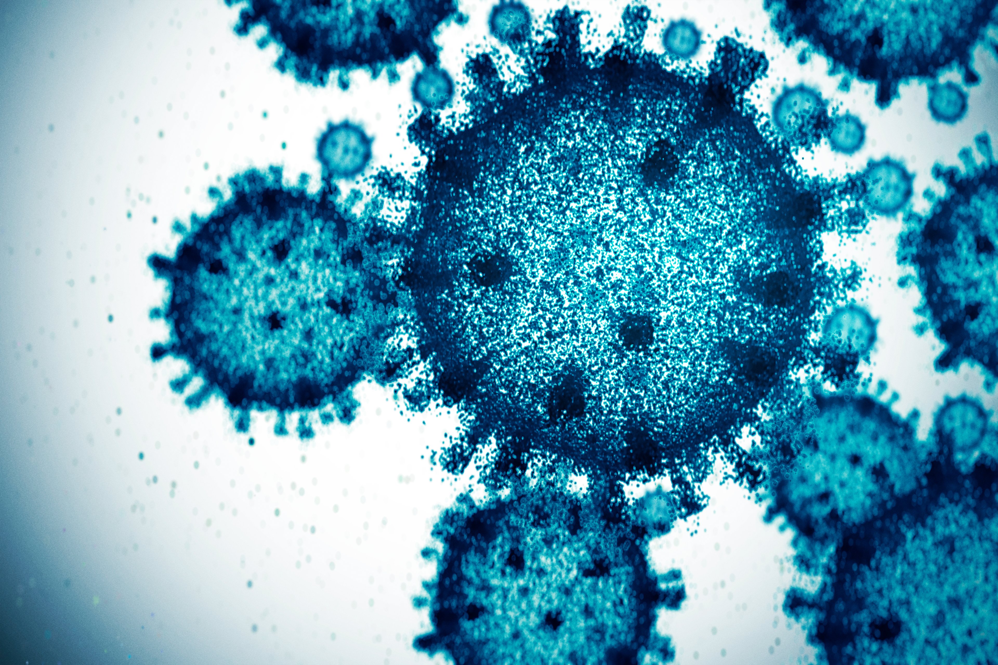 Virus mortal: Chile registra 13 mortes por hantavírus e letalidade sobe para 33%