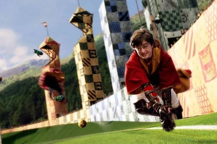 'Voo de vassoura': tirolesa inspirada em Harry Potter atravessa floresta a 60 metros de altura